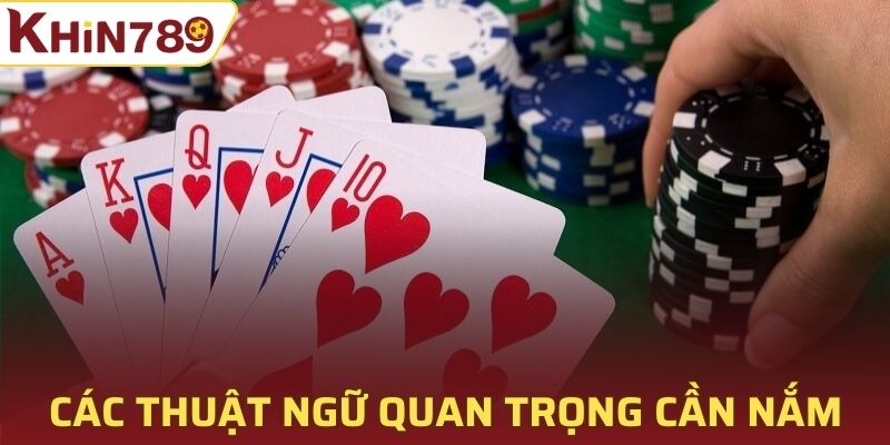 Các thuật ngữ quan trọng cần nắm