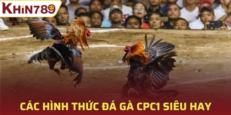 Các hình thức đá gà CPC1 siêu hay 