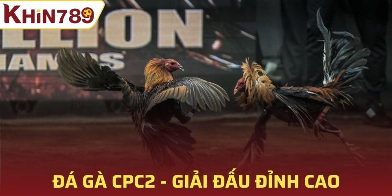 Đá gà CPC2