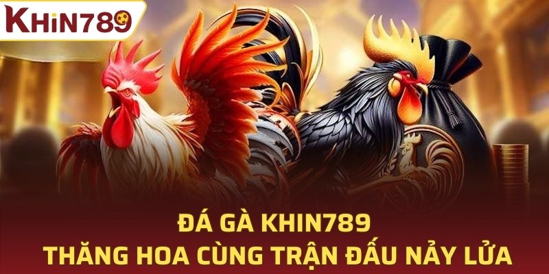 đá gà Khin789