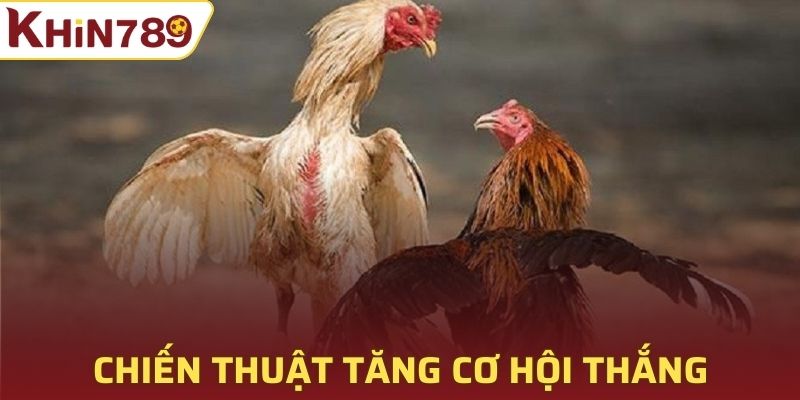 Đảm bảo chiến thuật tham gia