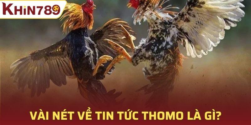 Đấu trường từ lâu đã trở thành điểm đến quen thuộc 