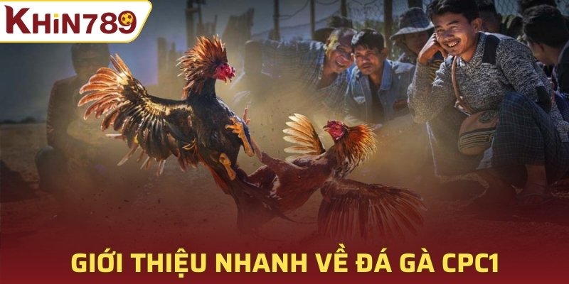 Giới thiệu nhanh về đá gà CPC1