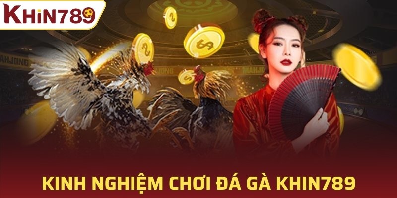 Kinh nghiệm chơi đá gà Khin789 hiệu quả 