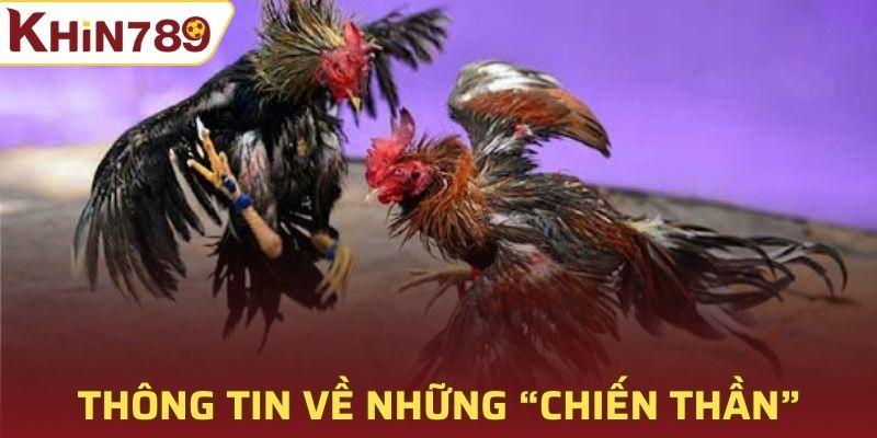 Những cái tên xuất sắc luôn là tâm điểm bàn luận