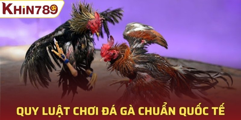 Quy luật chơi đá gà chuẩn quốc tế 