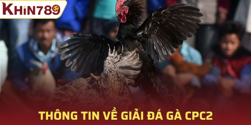 Thông tin về giải đá gà CPC2 tại Khin789