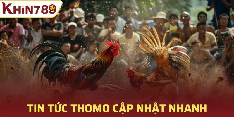 tin tức Thomo