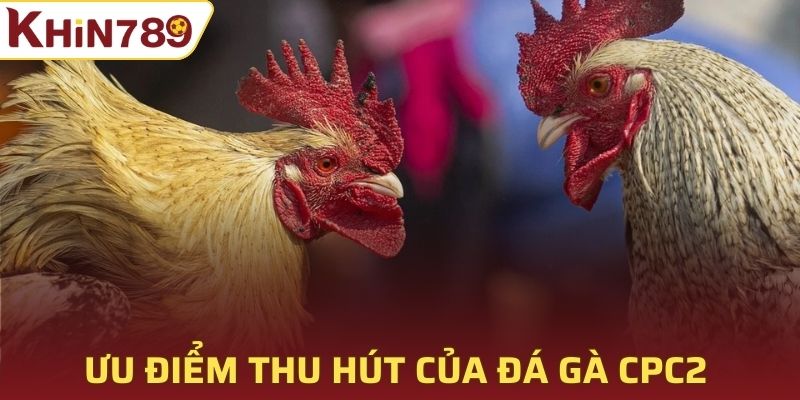 Ưu điểm thu hút của giải đấu Đá gà CPC2 